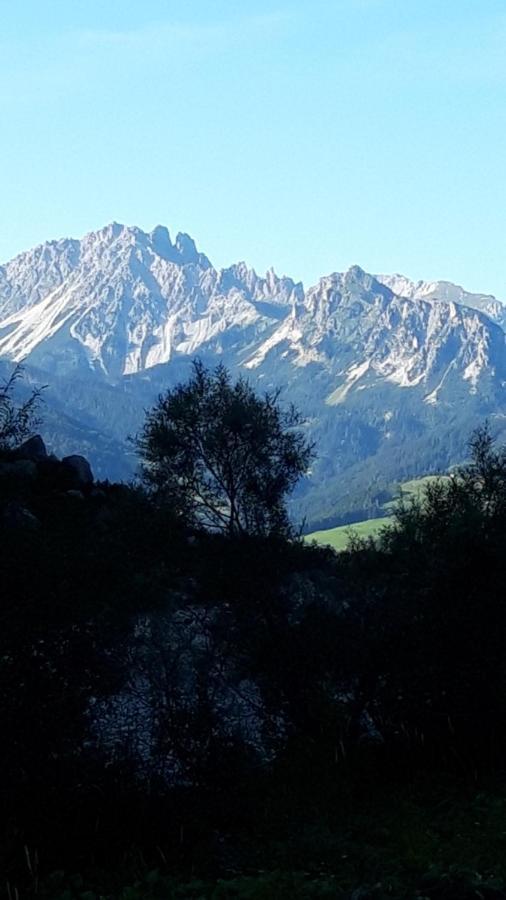 Appartamenti Patrizia San Pietro di Cadore Exterior foto