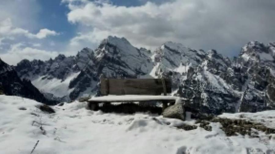 Appartamenti Patrizia San Pietro di Cadore Exterior foto
