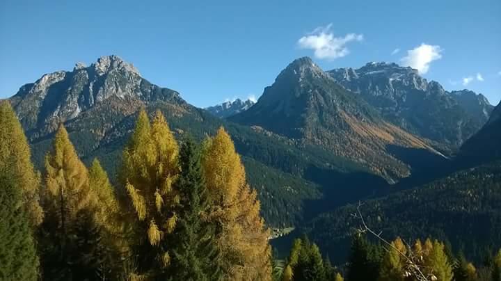Appartamenti Patrizia San Pietro di Cadore Zimmer foto