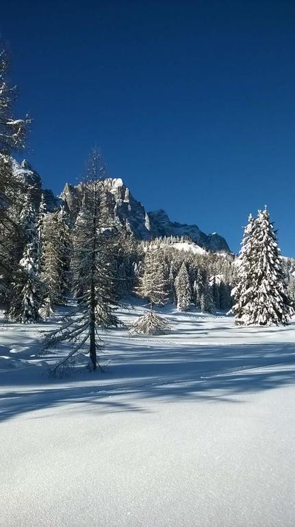 Appartamenti Patrizia San Pietro di Cadore Exterior foto