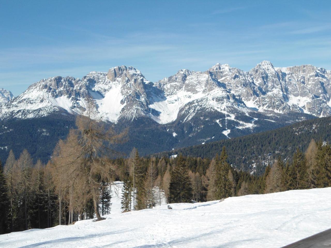 Appartamenti Patrizia San Pietro di Cadore Exterior foto